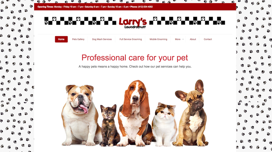 Larry’s Laundromutt